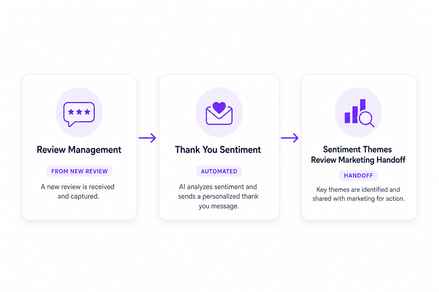 New review flowing to Review Management, sentiment themes, and review marketing